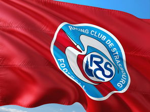 -帕尔梅拉斯传控战术优化，球队整体配合更顺畅