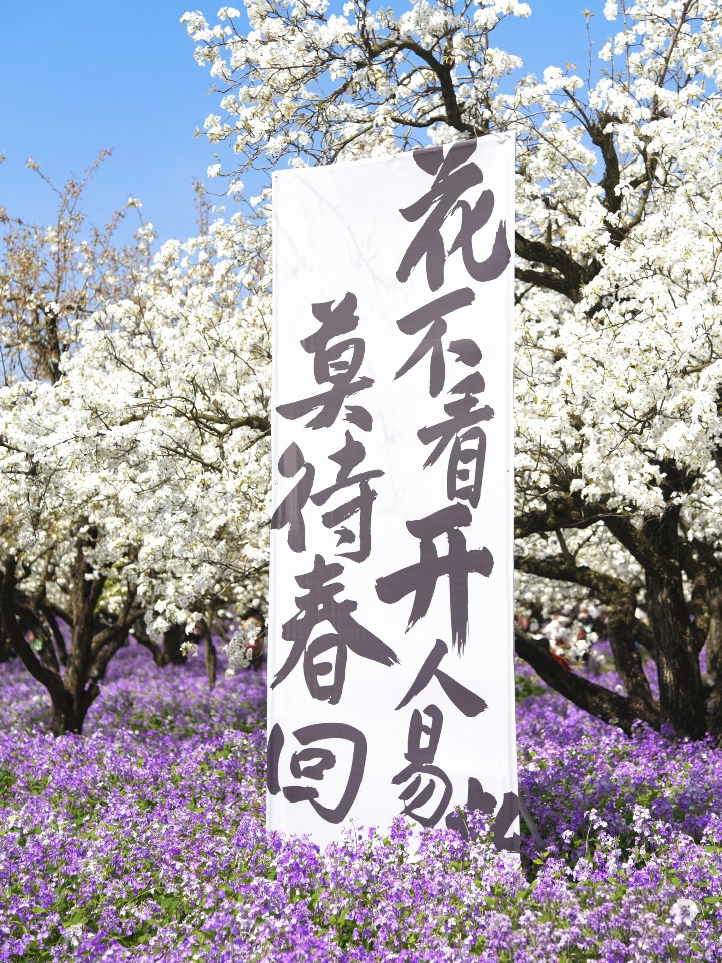 包含兰十开心获得胜利,前景一片清明的词条 包含兰十开心获得胜利,前景一片清明的词条