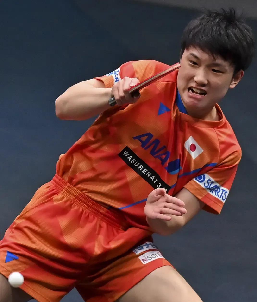 开云官网-关于瑞典队鏖战中国队，张本智和惊艳四座的信息