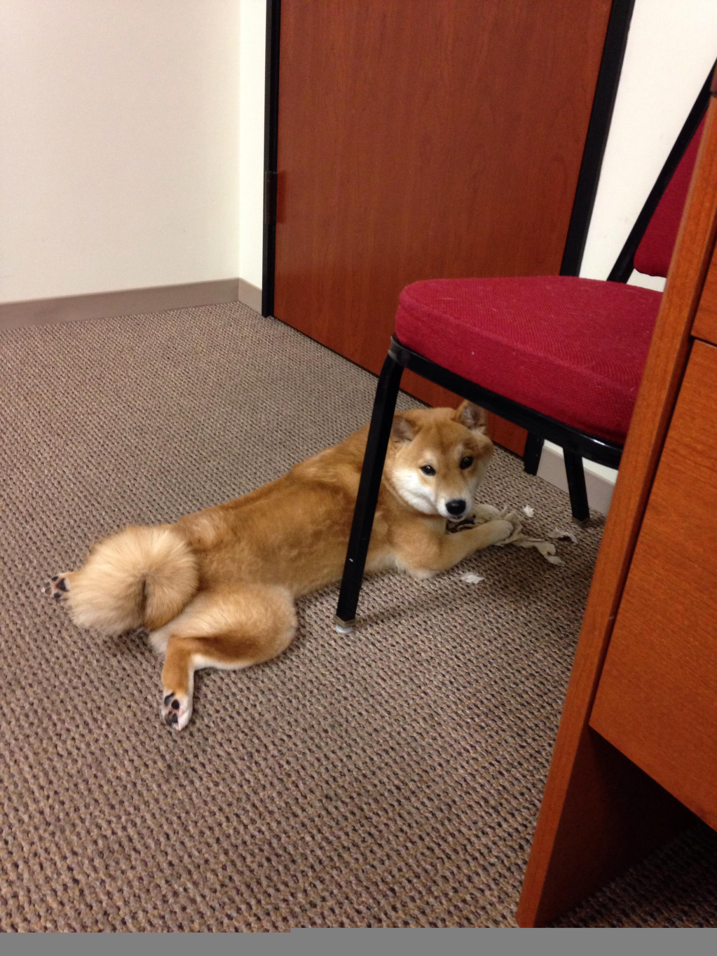 开云体育下载-欧冠级绞杀！切尔西绝地翻盘，德国铁帅的城墙轰然倒塌