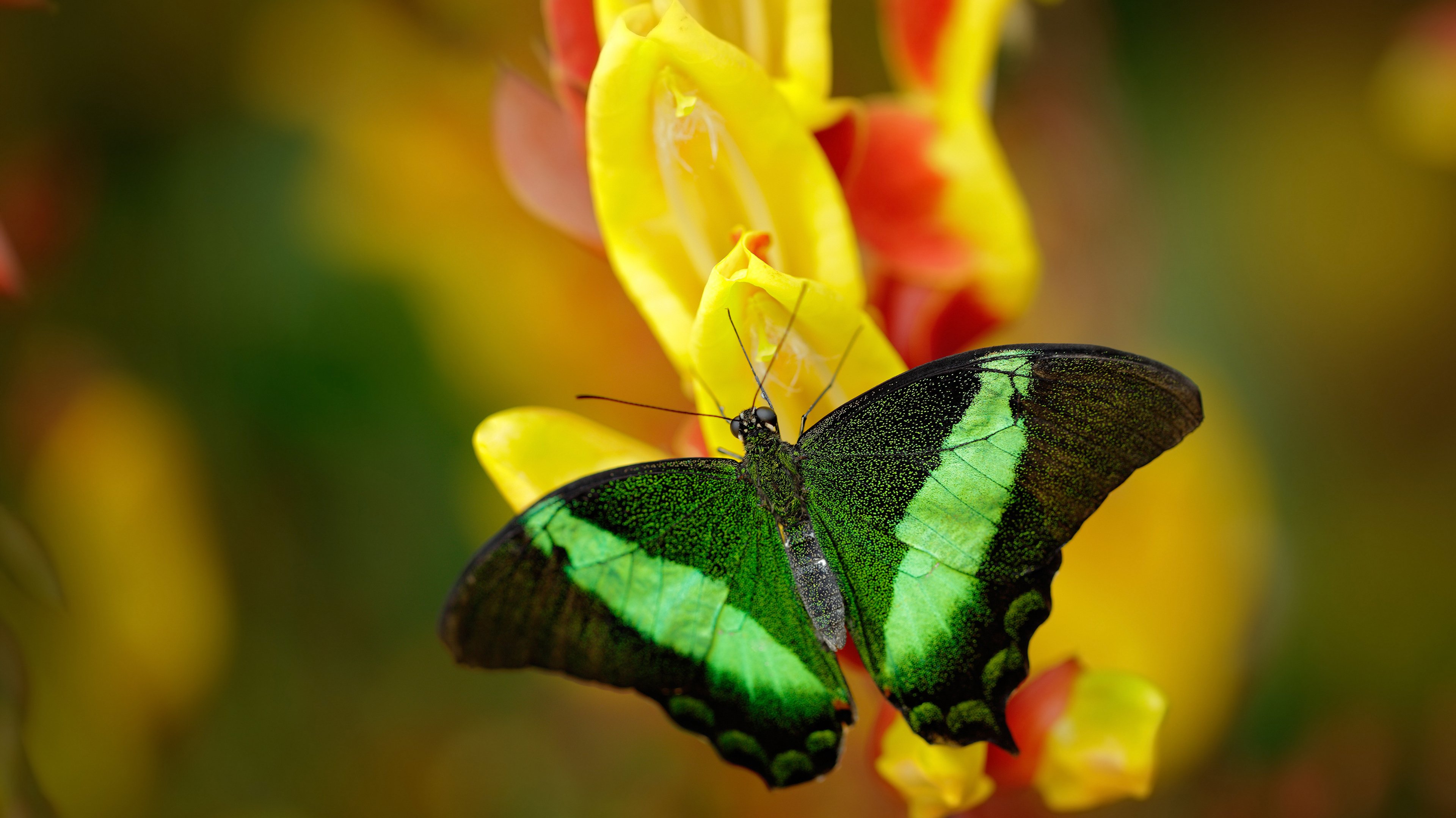 双线狂飙，压哨绝杀与街道接管，胜利只在毫秒之间