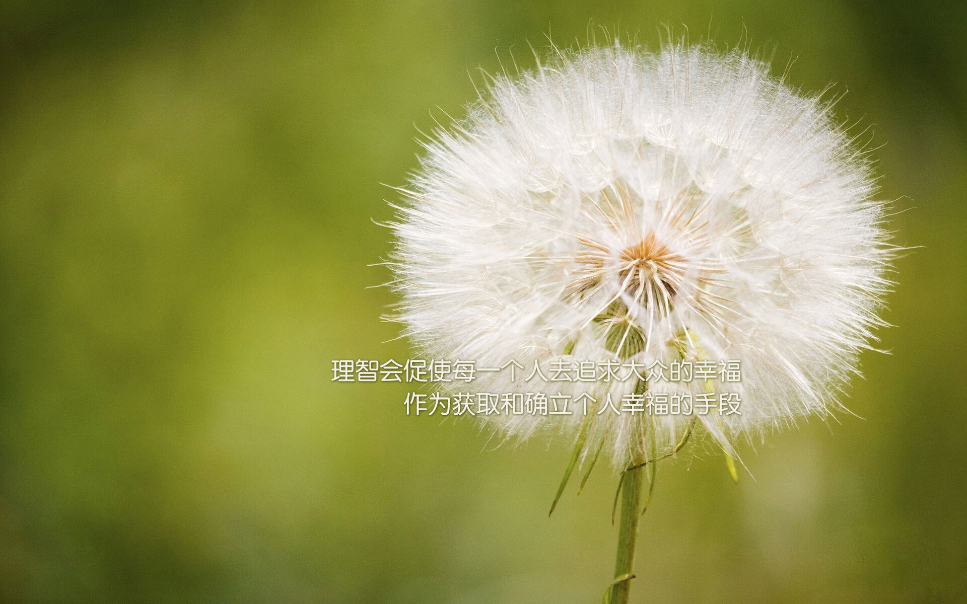 北欧战舰惊险突围！蒂亚戈闪耀全场率瑞典力克委内瑞拉