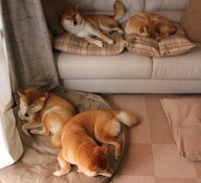 跨界狂飙，内马尔领军逆转东决关键之夜