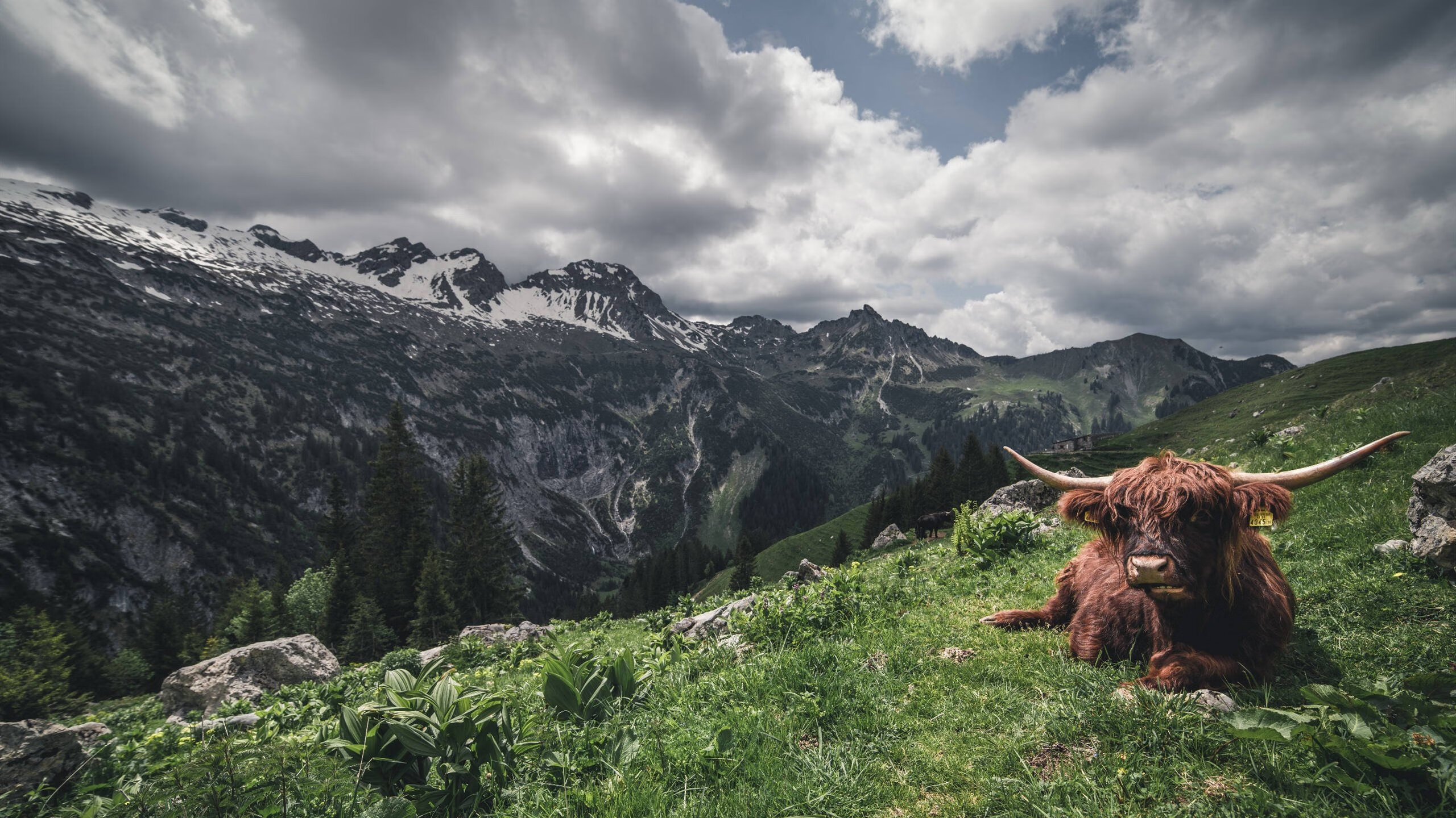 字母哥无敌肆虐,辽宁队跨洋横扫凯尔特人创奇迹