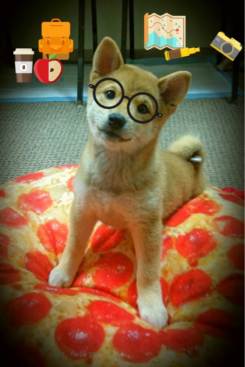 开云官网-全程高能，浓眉主宰抢七夜，一役封神，铸就传奇