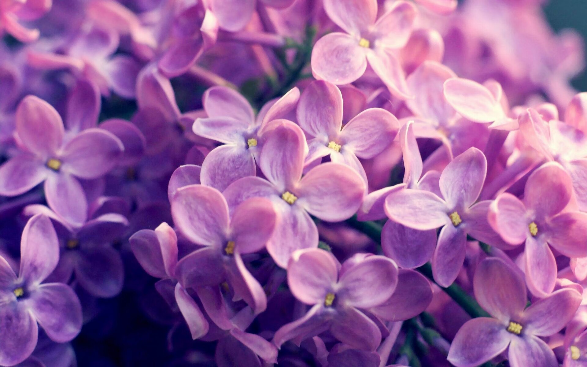 斯通斯中场魔术秀！葡萄牙3-0粉碎塞维利亚，曼城铁腰成关键先生