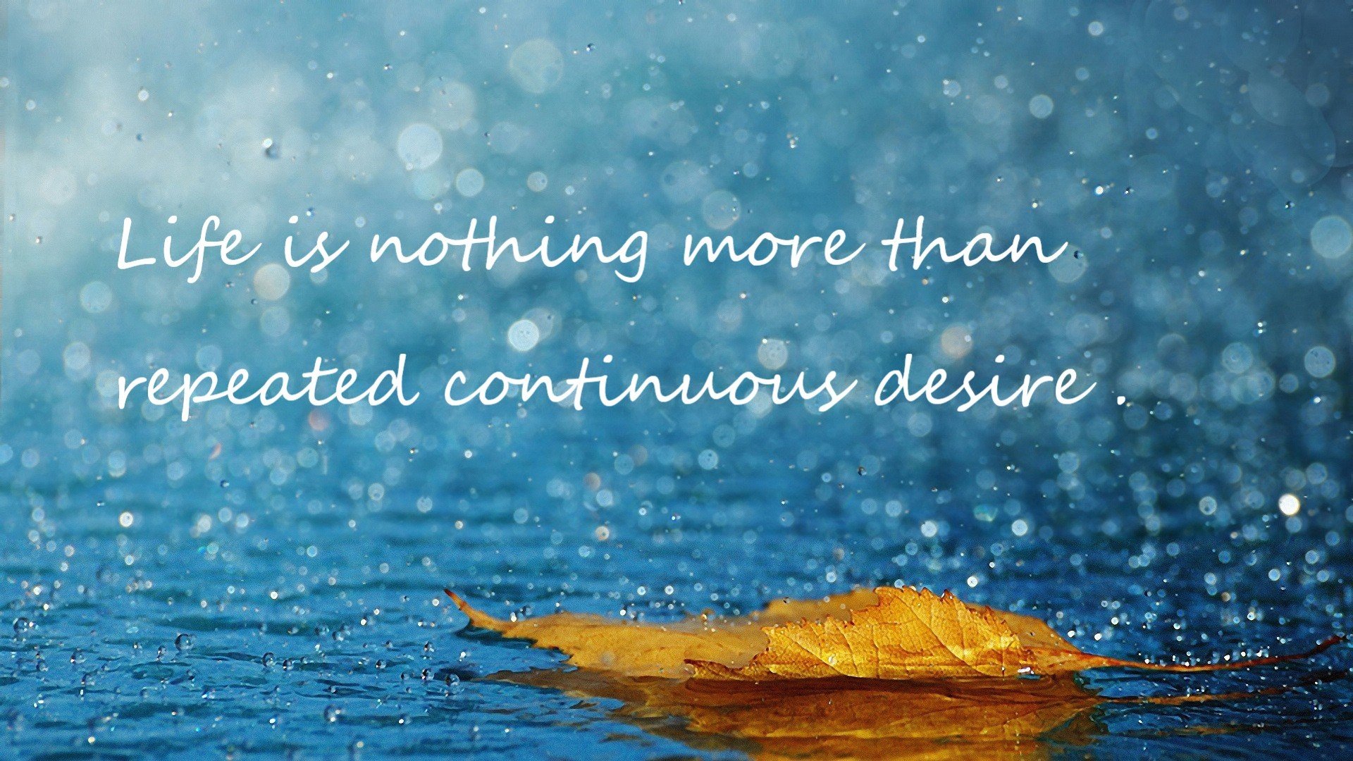 奥运前哨战，浙江队战术绞杀森林狼，诠释现代篮球的东方智慧