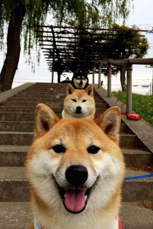 保罗掌控全场，76人轻取上海队获季前赛首胜