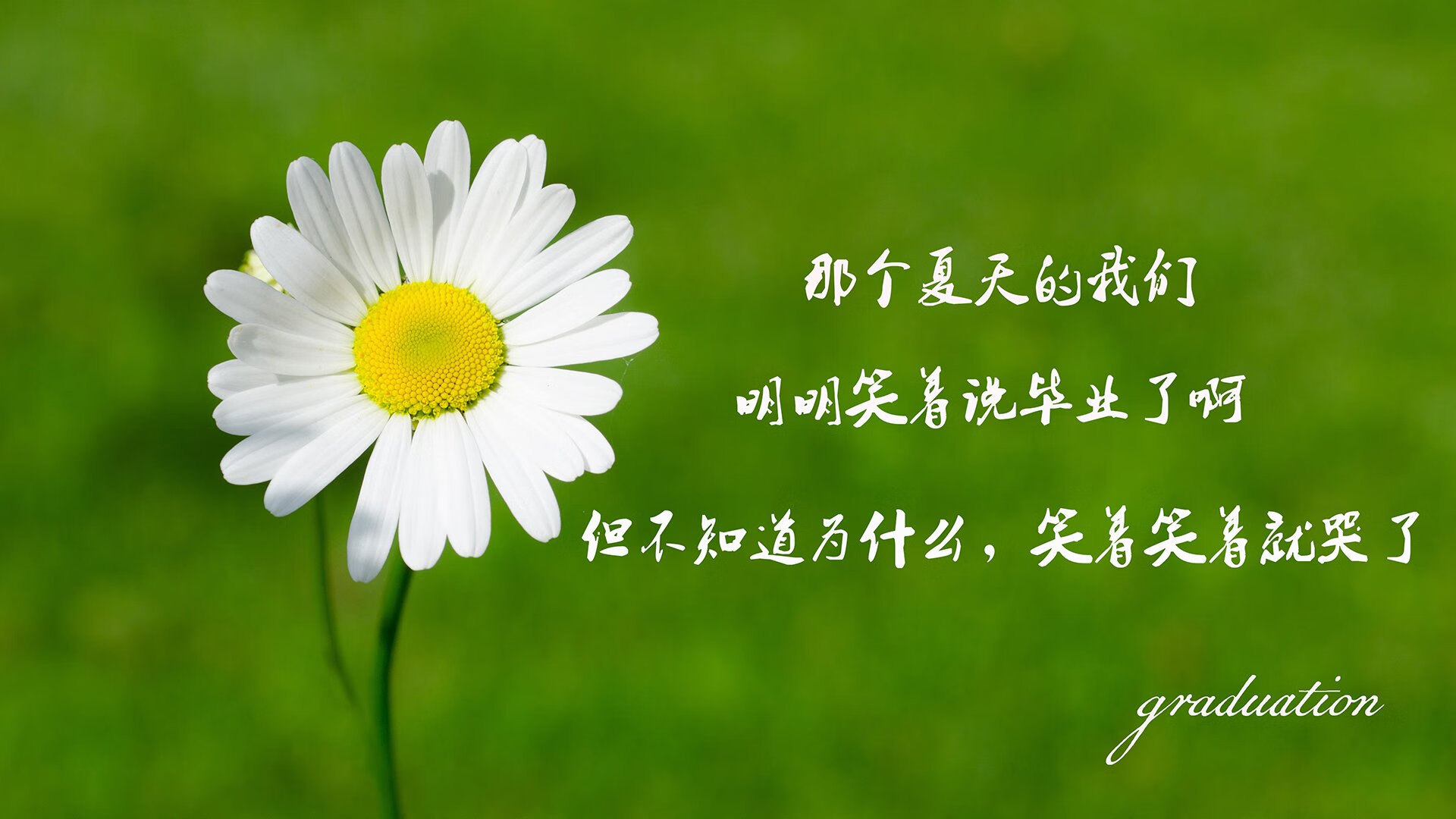 开云体育官网-欧冠淘汰赛焦点战，奥地利足球哲学何以强压加纳式的狂野天赋？