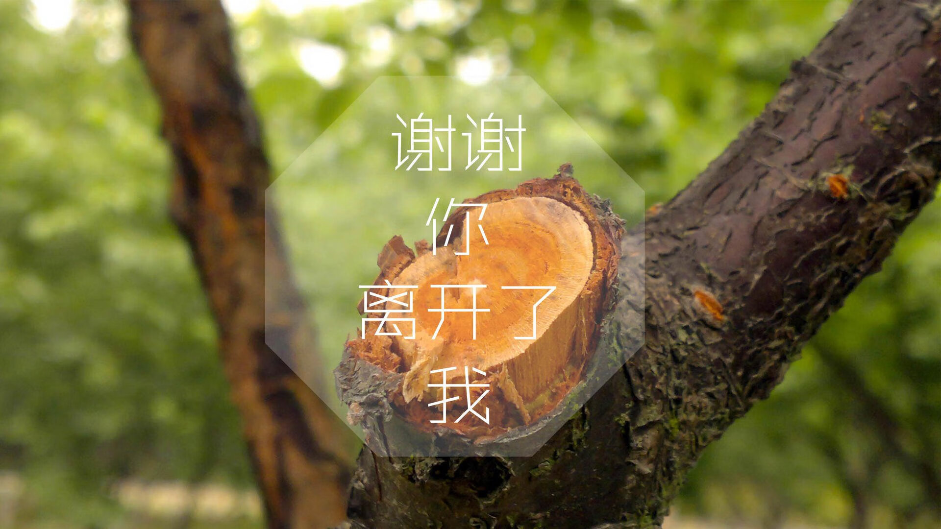 黑马奔腾,强强对话,2026世界杯摩洛哥大胜芬兰,托纳利闪耀全场